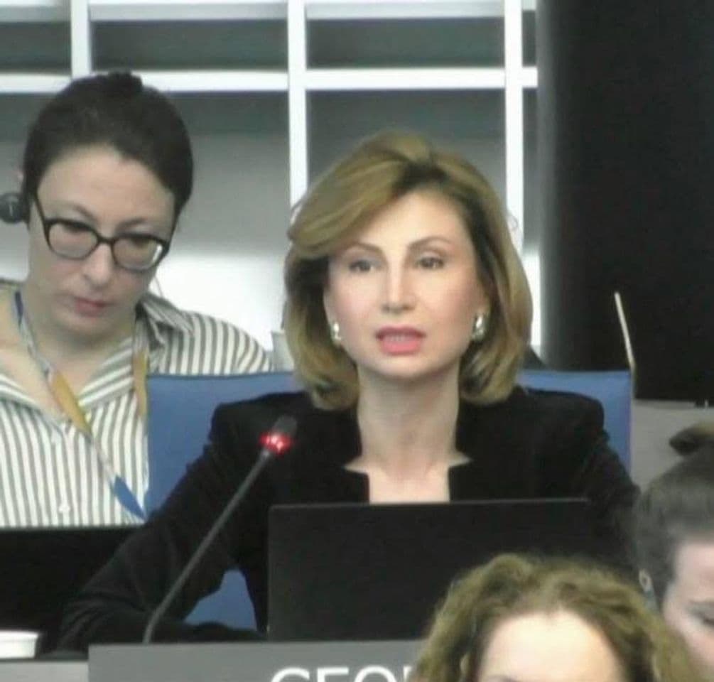 ევროპის საბჭოში საქართველოს მუდმივმა წარმომადგენელმა მინისტრთა კომიტეტის ახალ თავმჯდომარეს მიმართა